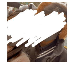 384313064