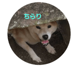 384319315
