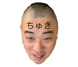 384326231