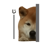 384466130