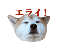 384466131
