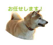 384466135