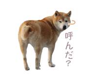 384466137