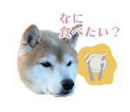 384466139