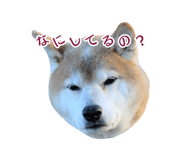 384466141