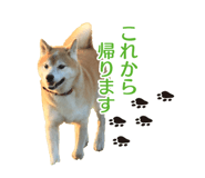 384466143