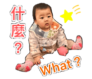 384546558