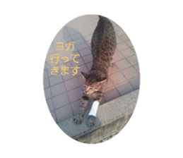 384622034