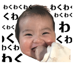384656633