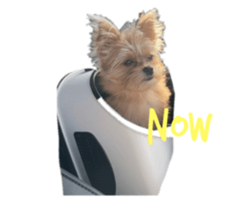 384663226