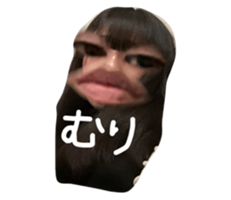 384776388