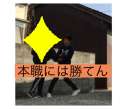 384779846