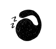 384810851