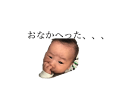 384817825