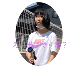 384915884