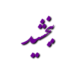 384925876