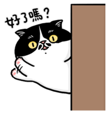 385000542