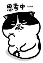 385000549