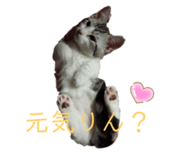 385036548