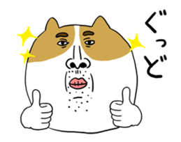 385079006