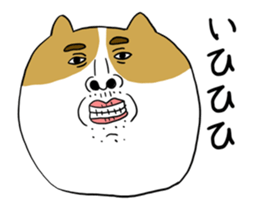 385079014