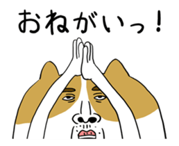 385079016