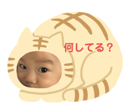 385151181