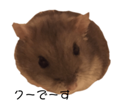 385399362