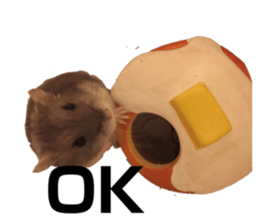 385399365