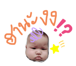 385494506