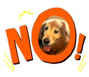 385555373
