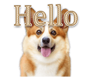385598894