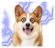 385598898