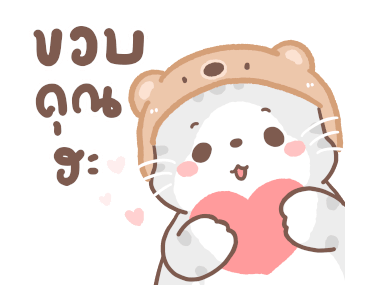 เหมียวขอดุ้กดิ้ก รูปที่ 5