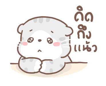 เหมียวขอดุ้กดิ้ก รูปที่ 23
