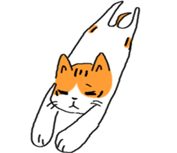 3856058