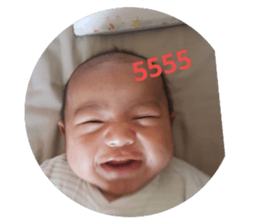 38563533