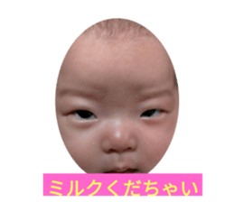 385666255