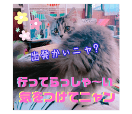 385739724