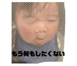 385746151