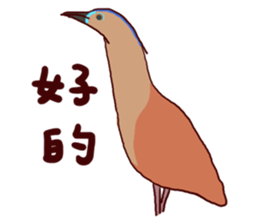 3857625