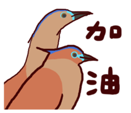 3857626
