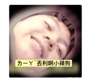 385777558