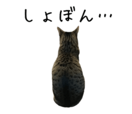 385881347