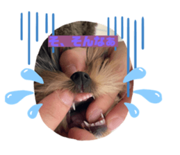 385887567