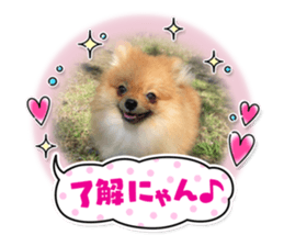 385909887