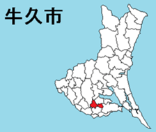 386059116