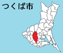 386059117