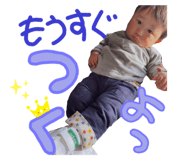 386062233