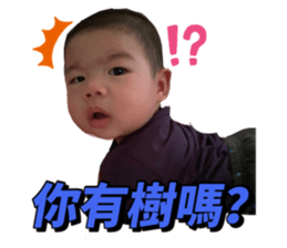 386088981